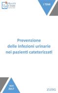 Ebook Prevenzione delle infezioni urinarie nei pazienti cateterizzati di Paola Di Giulio edito da Zadig