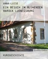 Ebook Ein Besuch im Blühenden Barock Ludwigsburg di Anna-Luise edito da BookRix