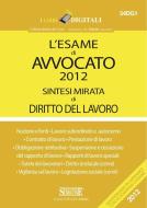 Ebook L'esame di Avvocato 2012 sintesi mirata di Diritto del Lavoro edito da Edizioni Simone