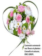 Ebook Comment entretenir vos fleurs et plantes : di Eric Leroy edito da Books on Demand