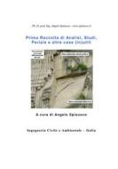 Ebook Prima Raccolta di Analisi, Studi, Perizie e altre cose (in)utili di Ph. D. prof. ing. Angelo Spizuoco edito da Ingegneria Civile e Ambientale - Italia