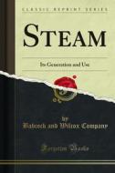 Ebook Steam di Babcock and Wilcox Company edito da Forgotten Books