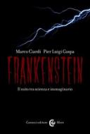 Ebook Frankenstein di Marco Ciardi, Pier Luigi Gaspa edito da Carocci editore S.p.A.