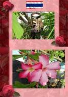 Ebook Thai Blumen und Pfanzen Photobuch von Heinz Duthel di Heinz Duthel edito da Books on Demand