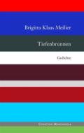 Ebook Tiefenbrunnen di Brigitta Klaas Meilier edito da Books on Demand