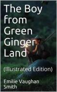 Ebook The Boy from Green Ginger Land di Smith, Emilie Vaughan edito da iOnlineShopping.com