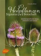 Ebook Heilpflanzen. Signatur und Botschaft di Claudia Ritter edito da Verlag Eugen Ulmer