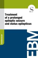 Ebook Treatment of a Prolonged Epileptic Seizure and Status Epilepticus di Sics Editore edito da SICS