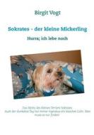 Ebook Sokrates - der kleine Mickerling di Birgit Vogt edito da Books on Demand