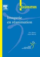Ebook Imagerie en réanimation di Eric Maury, Alain Mercat, SRLF (Société de Réanimation de Langue Française) edito da Elsevier Masson