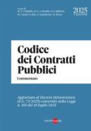 Ebook Codice dei Contratti pubblici di AA.VV. edito da IlSole24Ore Professional