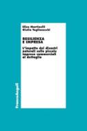 Ebook Resilienza e impresa di Giulia Tagliazucchi, Elisa Martinelli edito da Franco Angeli Edizioni