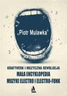 Ebook Kraftwerk i muzyczna rewolucja. Ma?a encyklopedia muzyki electro i electro-funk di Piotr Mulawka edito da Wydawnictwo Psychoskok