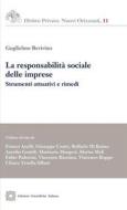 Ebook La responsabilità sociale delle imprese di Bevivino Guglielmo edito da Edizioni Scientifiche Italiane - ESI