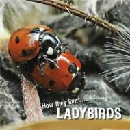 Ebook How they live... Ladybirds di David Withrington, Ivan Esenko edito da Okaši