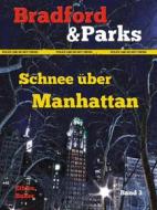 Ebook Schnee über Manhattan di Ethan Baker edito da Books on Demand