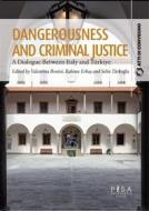 Ebook Dangerousness and Criminal Justice di Valentina Bonini, Erba? Rahime, Selin Türkoglu edito da Pisa University Press