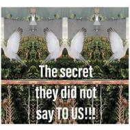 Ebook The secret they did not say TO US!!! di A.N. KARAMBAKHSH edito da Books on Demand