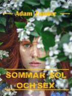 Ebook Sommar, sol och sex di Adam Zander edito da Books on Demand