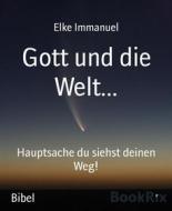 Ebook Gott und die Welt... di Elke Immanuel edito da BookRix