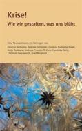 Ebook Krise! di Antje Buitkamp edito da Books on Demand