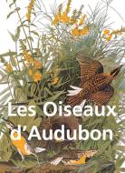 Ebook Les Oiseaux d&apos;Audubon di John James Audubon edito da Parkstone International
