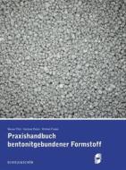 Ebook Praxishandbuch bentonitgebundener Formstoffe di Werner Tilch edito da Books on Demand