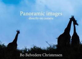Ebook Panoramic images di Bo Belvedere Christensen edito da Books on Demand