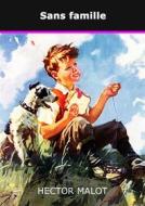 Ebook Sans famille di HECTOR MALOT edito da Books on Demand