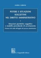 Ebook Potere e situazioni soggettive nel diritto amministrativo di Andrea Carbone edito da Giappichelli Editore