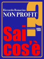 Ebook Non profit di Bonacina Riccardo edito da Bruno Mondadori