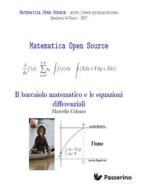 Ebook Il barcaiolo matematico e le equazioni differenziali di Marcello Colozzo edito da Passerino
