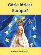 Ebook Gdzie idziesz Europo? di Andrzej Budzinski edito da Andrzej Budzinski