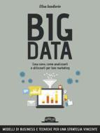 Ebook Big data: cosa sono, come analizzarli e utilizzarli per fare marketing di Elisa Iandiorio edito da Dario Flaccovio Editore