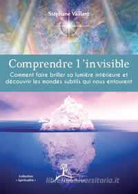 Ebook Comprendre l&apos;invisible di Stéphane Vaillant edito da La Vallée Heureuse