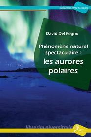 Ebook Phénomène naturel spectaculaire : les aurores polaires di David Del Regno edito da La Vallée Heureuse