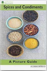 Ebook Spices and Condiments di Agrihortico CPL edito da AGRIHORTICO