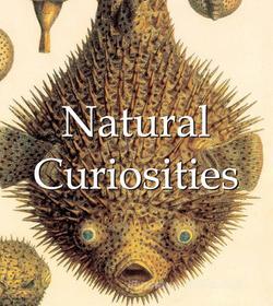 Ebook Natural Curiosities di Alfred Russel Wallace edito da Parkstone International