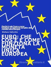 Ebook EURO: che cos&apos;è e come funziona la moneta unica europea di Stefano Calicchio edito da Stefano Calicchio
