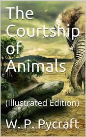 Ebook The Courtship of Animals di W. P. Pycraft edito da iOnlineShopping.com