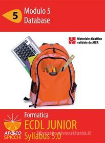 Ebook ECDL Junior Modulo 5 - Database - Access 2002 (PDF) di Formatica edito da Apogeo_University