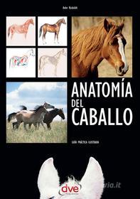 Ebook Anatomía del caballo: Guía práctica ilustrada di Anke Rüsbüldt, C. Murciano edito da De Vecchi Ediciones