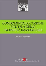 Ebook Condominio, locazione e tutela della proprietà immobiliare di Patrizia Felcioloni edito da IlSole24Ore
