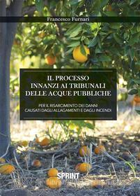 Ebook Il processo innanzi ai tribunali delle acque pubbliche di Francesco Furnari edito da Booksprint