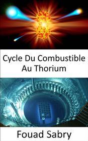Ebook Cycle Du Combustible Au Thorium di Fouad Sabry edito da Un Milliard De Personnes Informées [French]