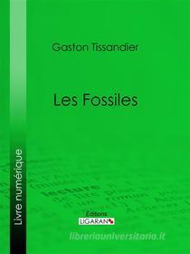 Ebook Les Fossiles di Ligaran, Gaston Tissandier edito da Ligaran