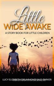 Ebook Little Wide Awake - A story book for little children di Lucy Elizabeth Drummond Sale-barker edito da anna ruggieri