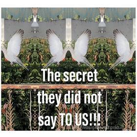 Ebook The secret they did not say TO US!!! di A.N. KARAMBAKHSH edito da Books on Demand