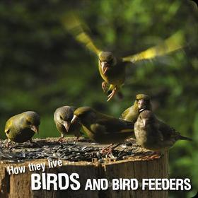Ebook How they live... Birds di David Withrington, Ivan Esenko edito da Okaši