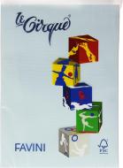 Risma Le Cirque 500 fogli celeste formato A4 80 gr